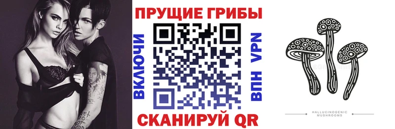 Галлюциногенные грибы Psilocybine cubensis  KRAKEN ссылка  Кувандык 